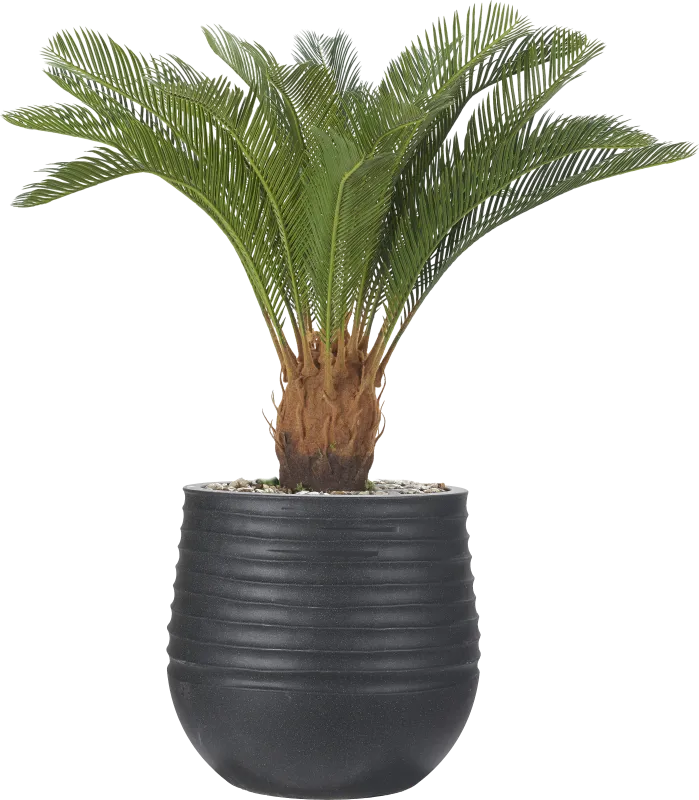 Terralis 38 in. Green UV Artificial Palm Plant in Black Planter