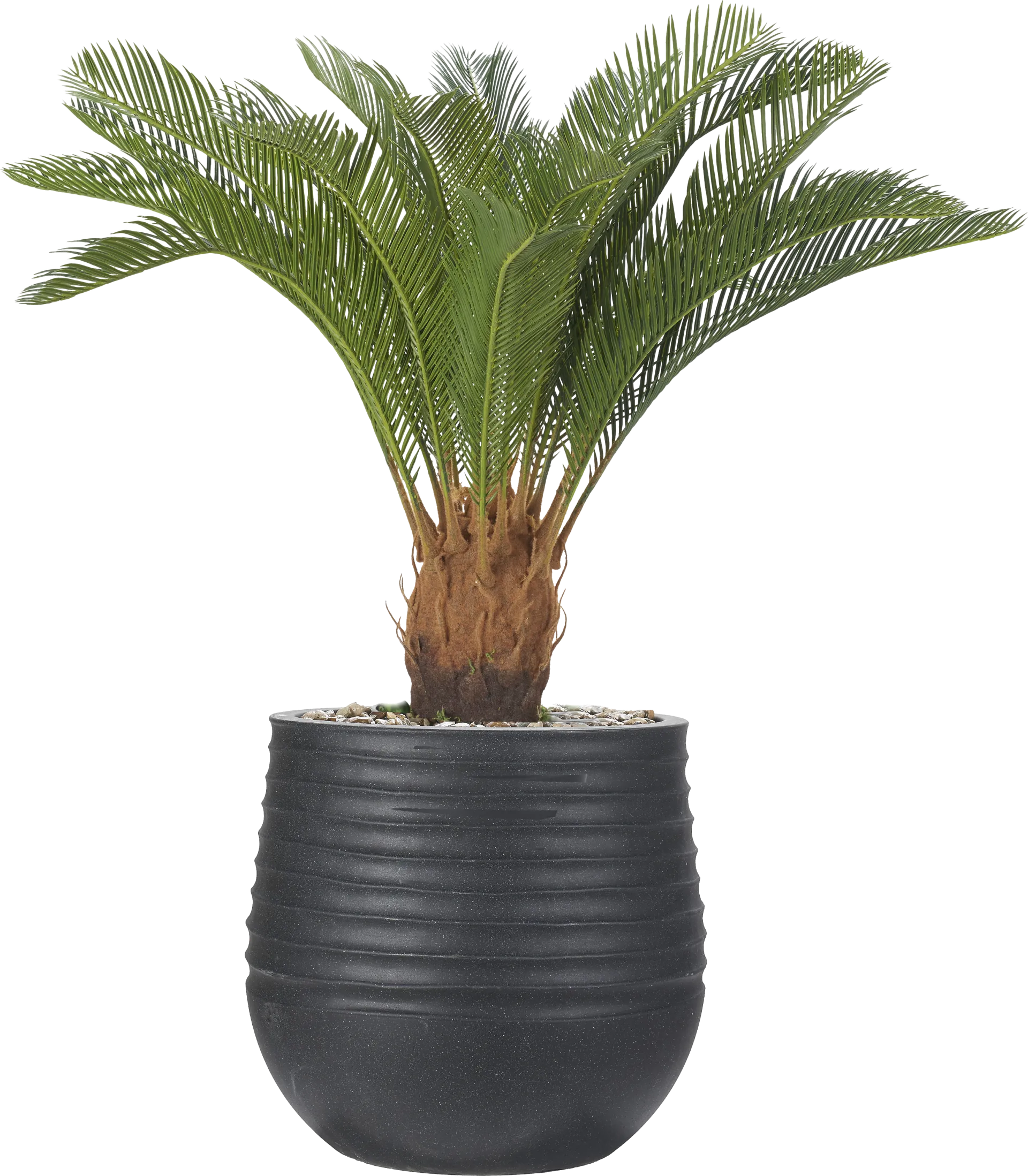 Terralis 38 in. Green UV Artificial Palm Plant in Black Planter - Image 1
