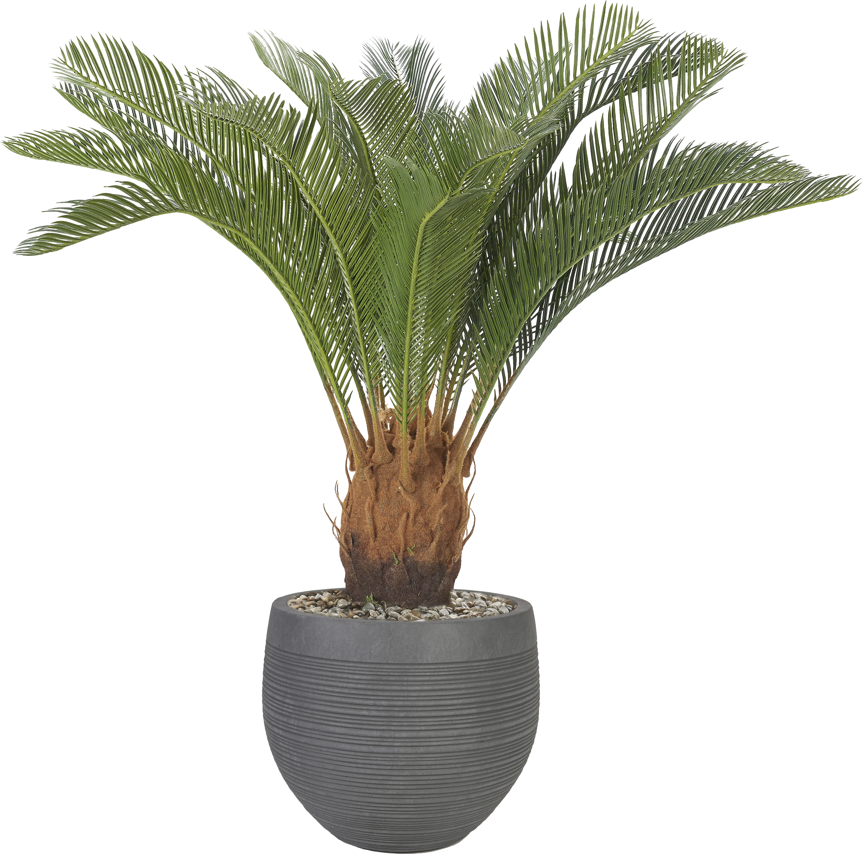 Ardena 40 in. UV Artificial Palm in Gray Planter - Thumbnail - Image 1