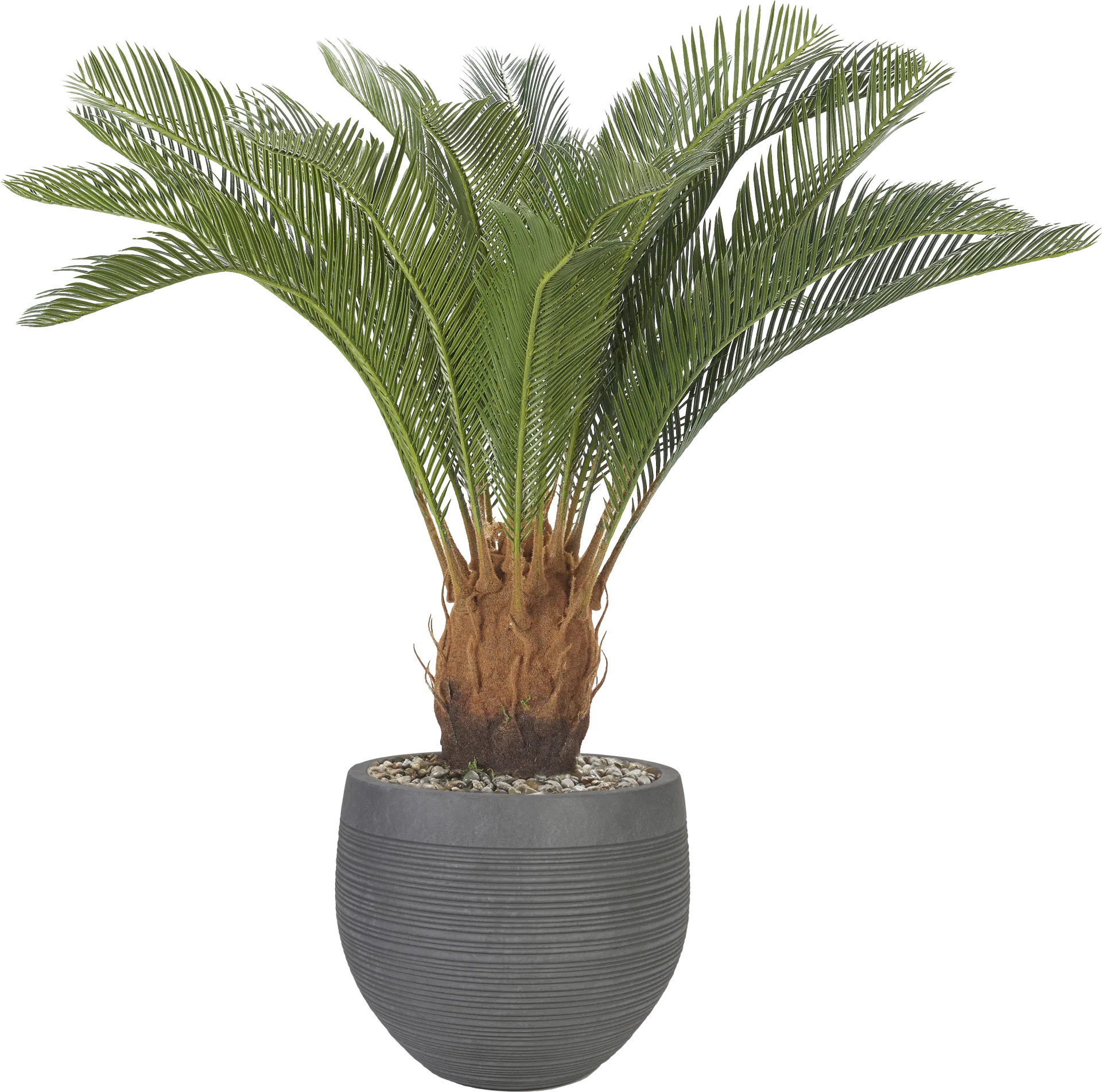 Ardena 40 in. UV Artificial Palm in Gray Planter - Image 1