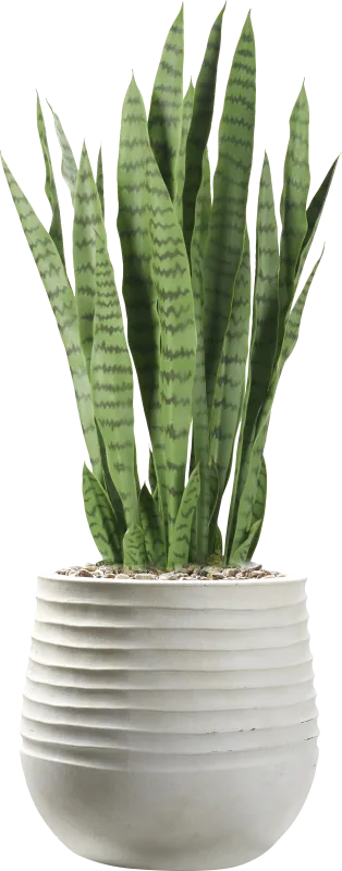 Islara 42 in. UV Artificial Sansevieria in White Planter