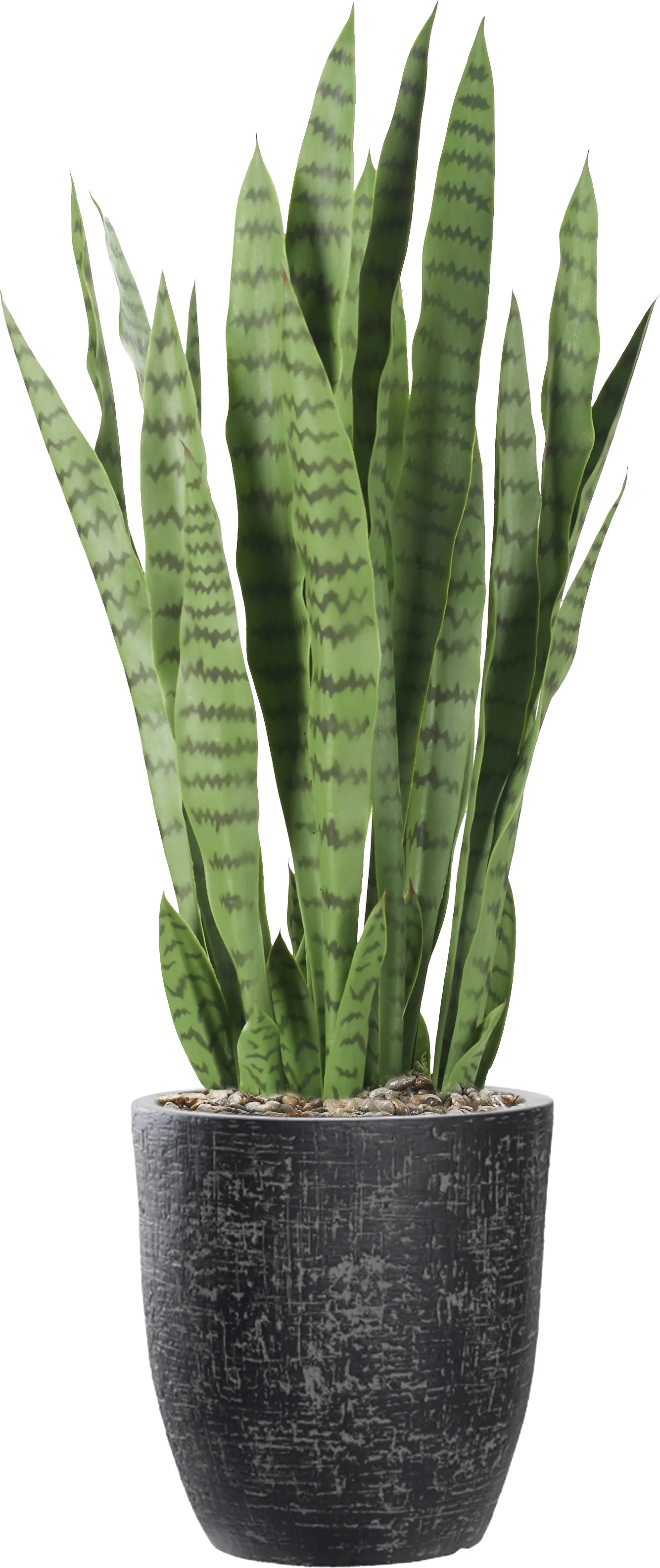 Zenara 30 in. Sansevieria UV Artificial Plant in Black Planter - Thumbnail - Image 1