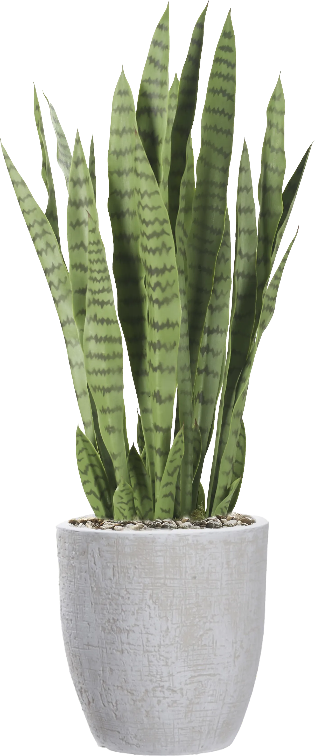 Zenara 30 in. UV Artificial Sansevieria in White Planter - Thumbnail - Image 1
