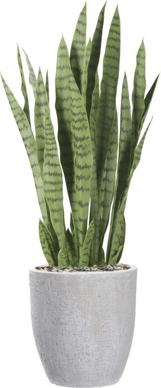 Zenara 30 in. UV Artificial Sansevieria in White Planter