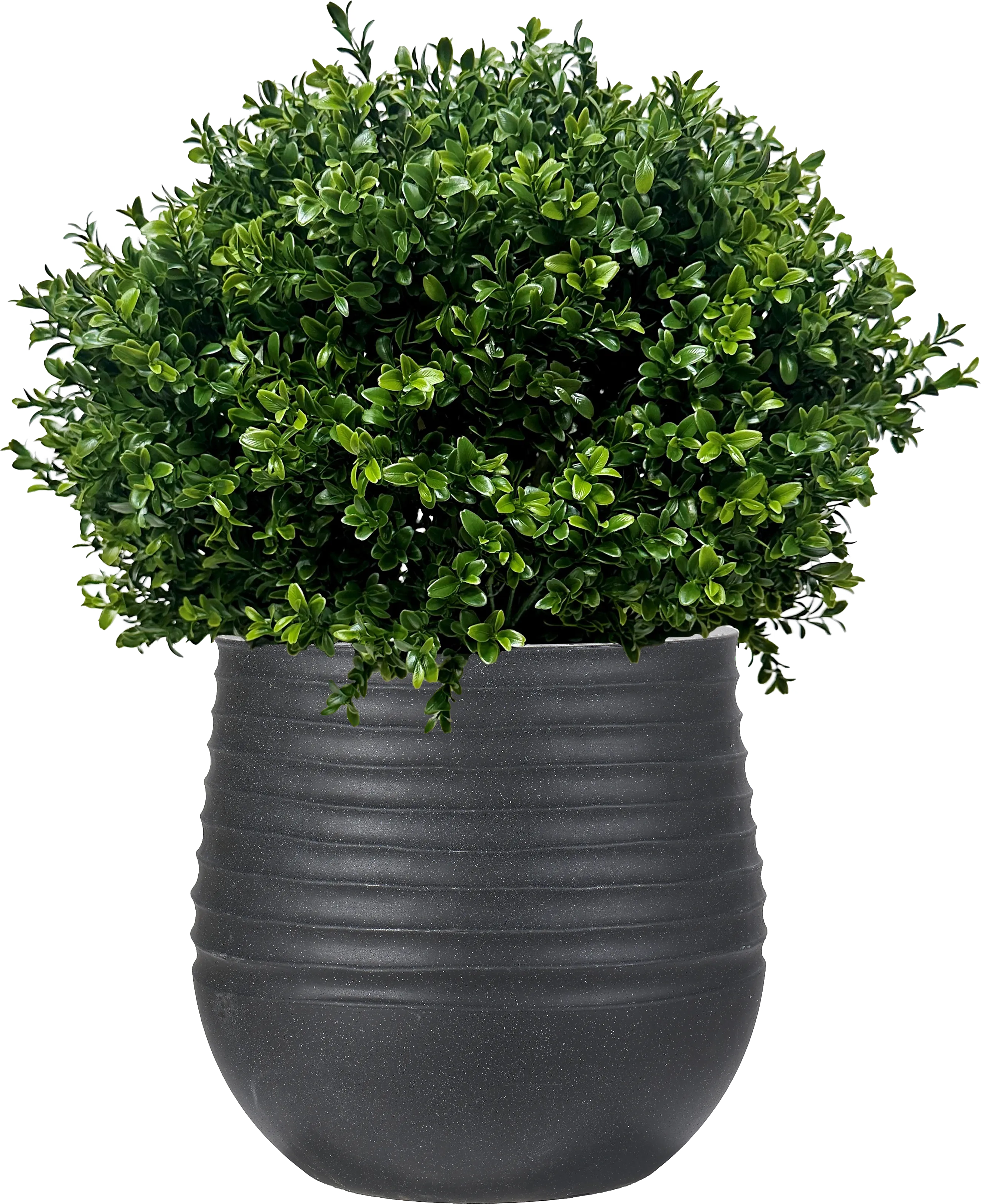 Boulee Green 33 in. UV Artifical Boxwood Ball in Black Planter - Thumbnail - Image 1
