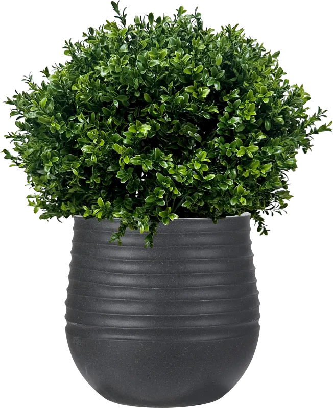 Boulee Green 33 in. UV Artifical Boxwood Ball in Black Planter