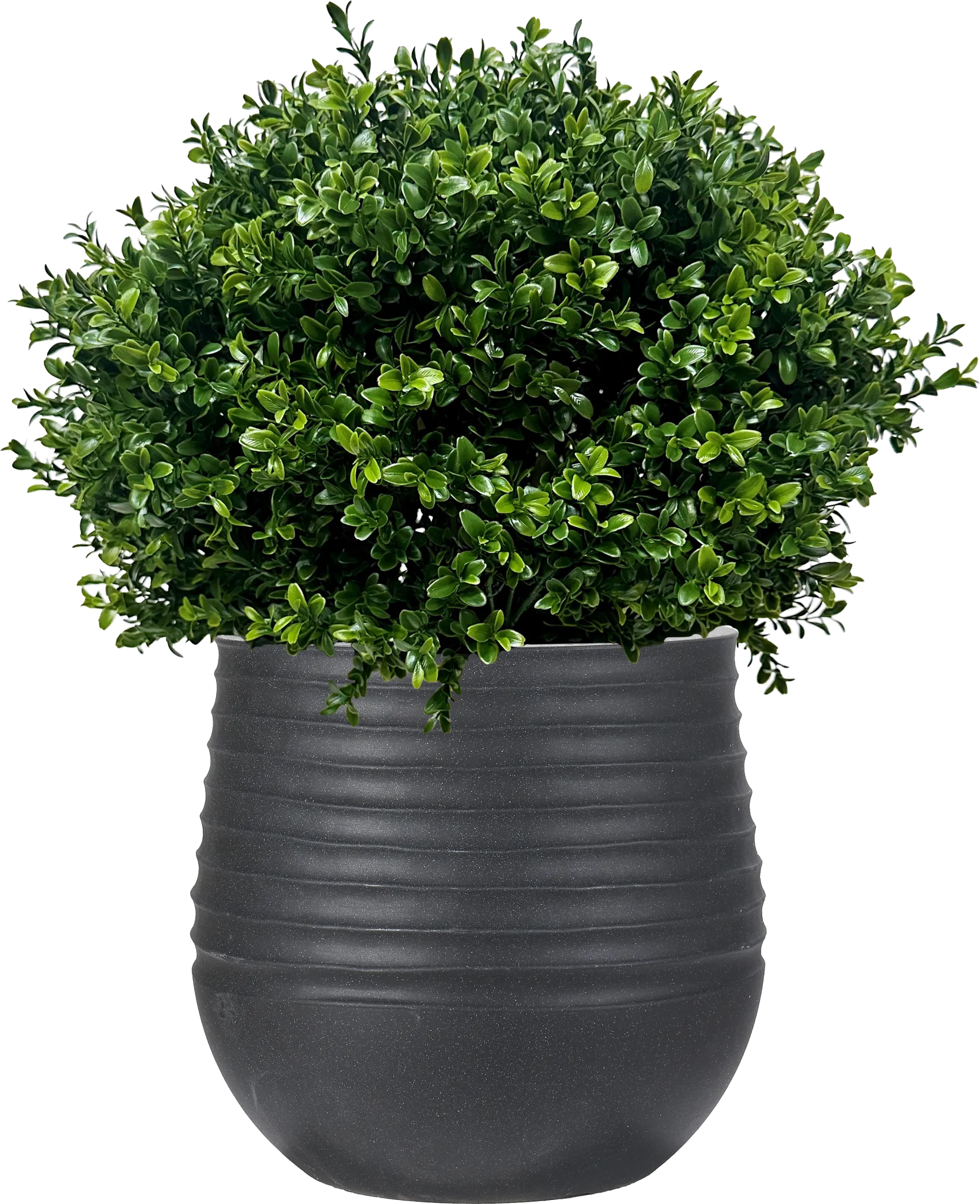 Boulee Green 33 in. UV Artifical Boxwood Ball in Black Planter - Image 1