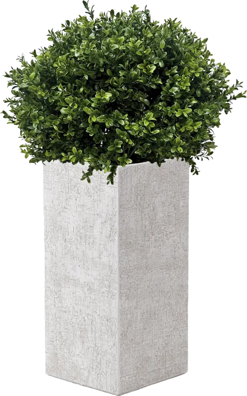 Bellara 41 in. UV Artificial Boxwood Ball in White Planter