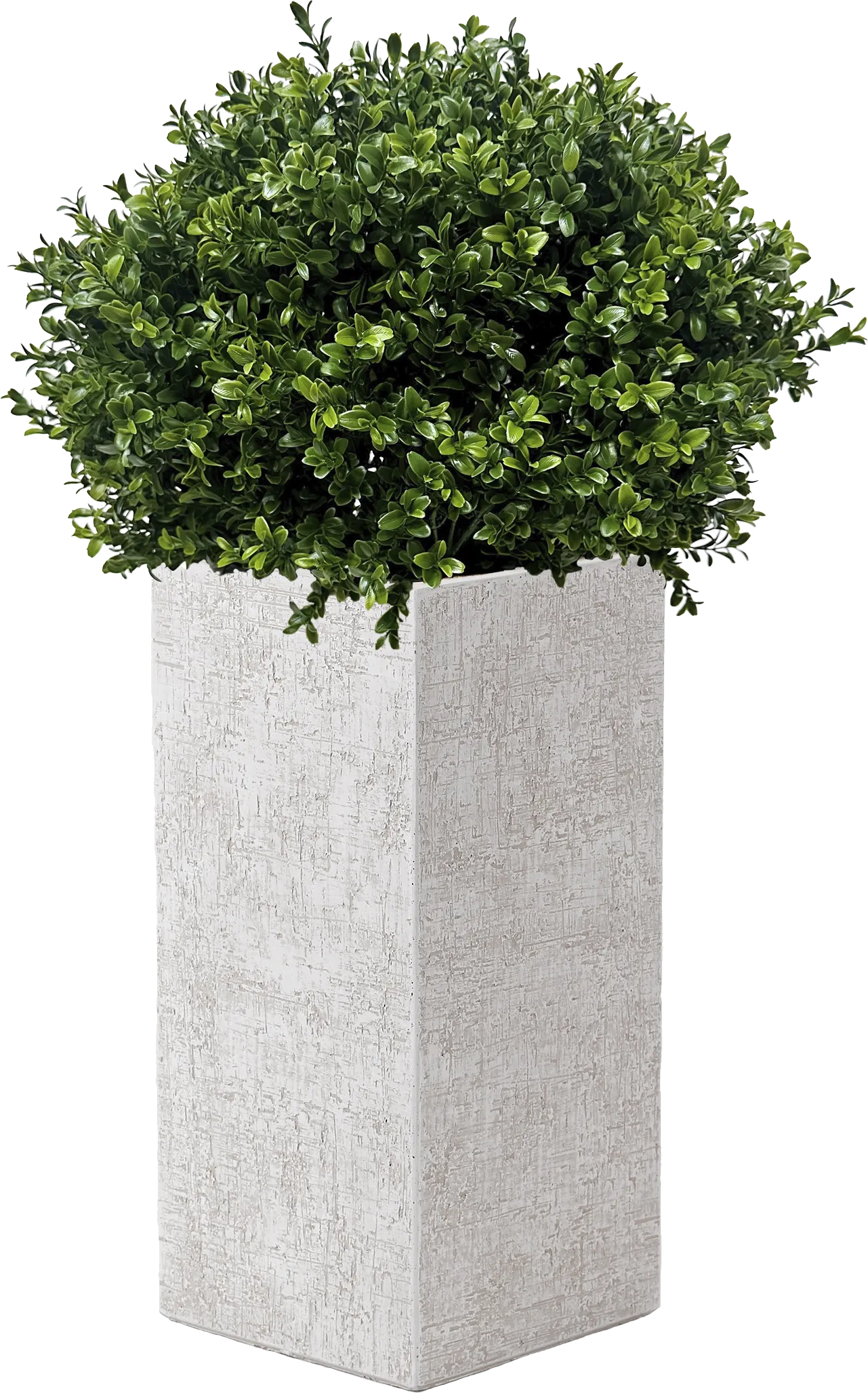 Bellara 41 in. UV Artificial Boxwood Ball in White Planter - Image 1
