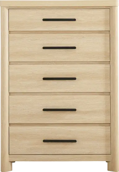 chest