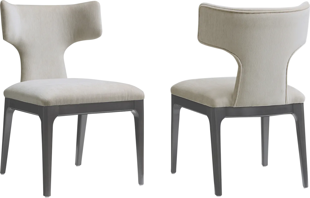 Cautri Gray Side Chair, Set of 2