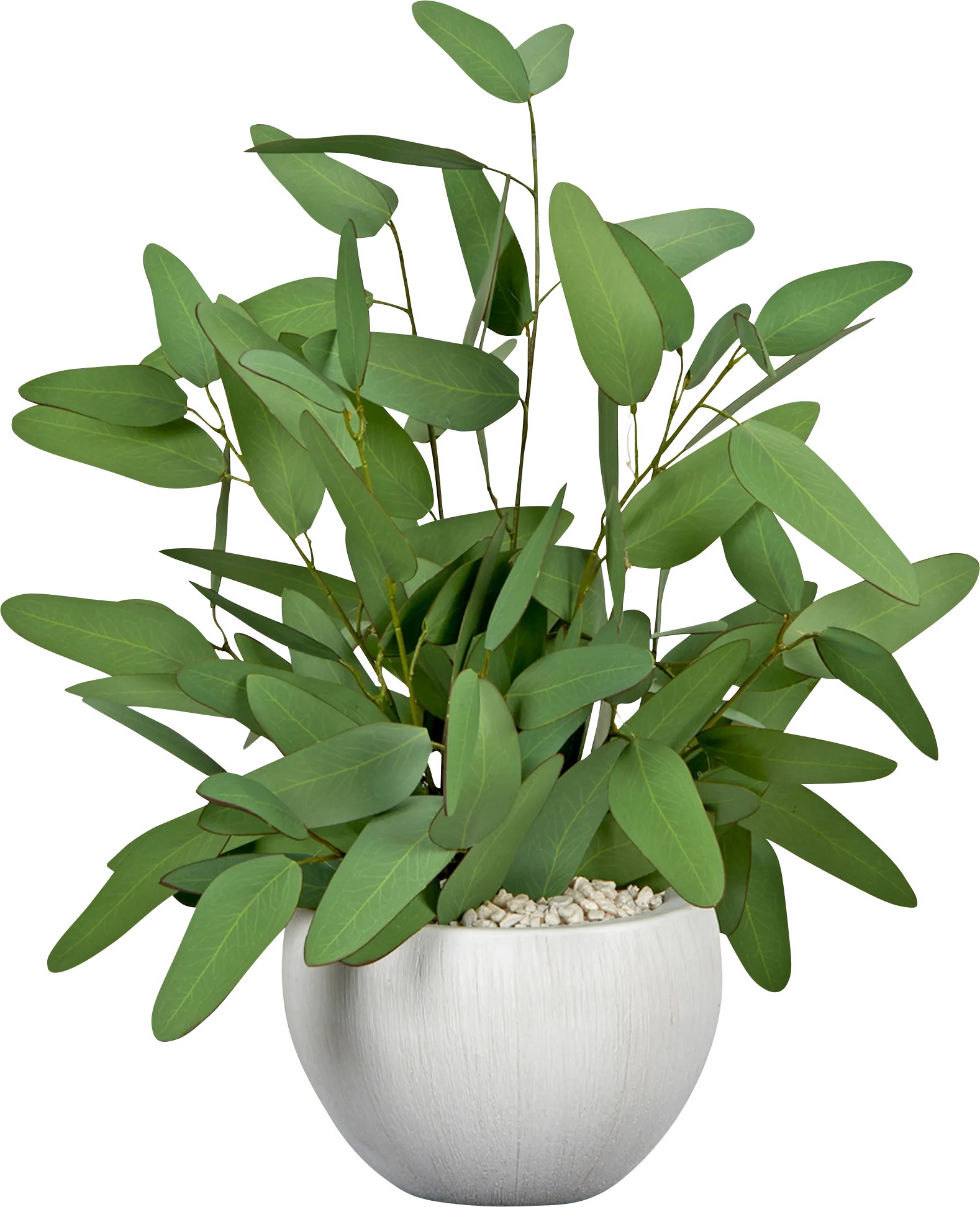 Attab White Silk Plant - Image 1