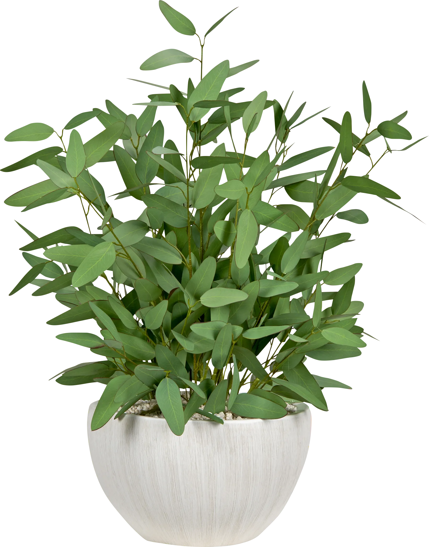 Wasim White Silk Plant - Image 1