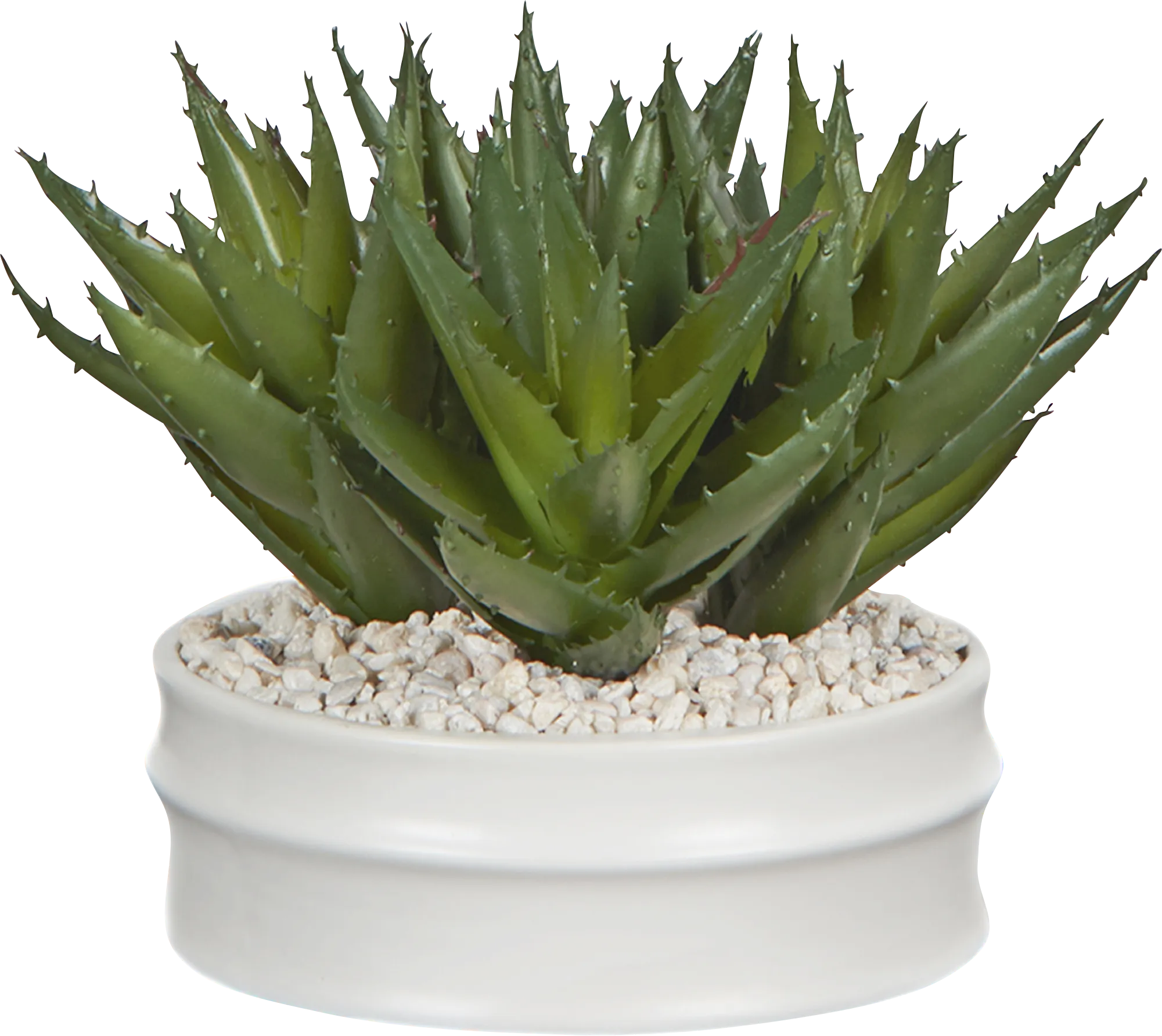 Bolani White Silk Plant - Thumbnail - Image 1