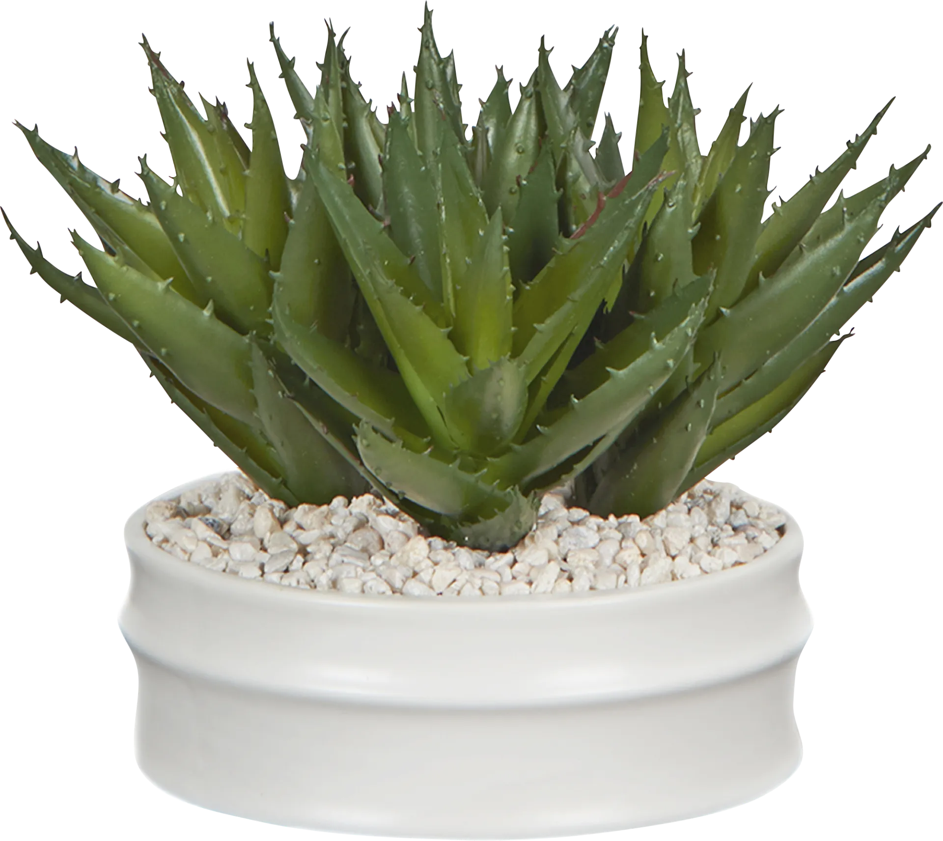 Bolani White Silk Plant - Image 1