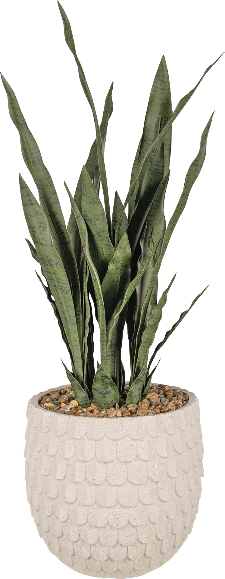 Asiyi Beige Silk Plant - Image 1