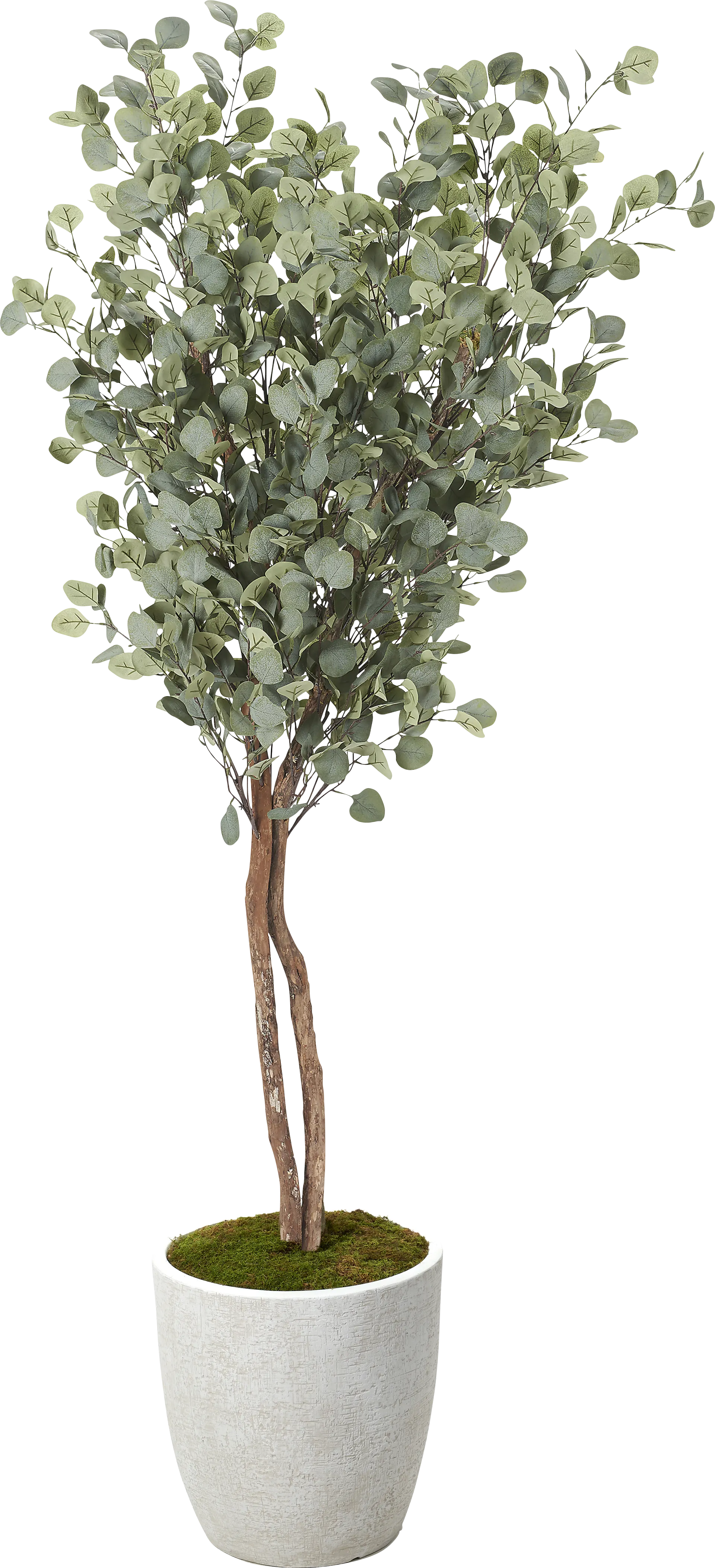 Namel Green Silk Plant - Image 1