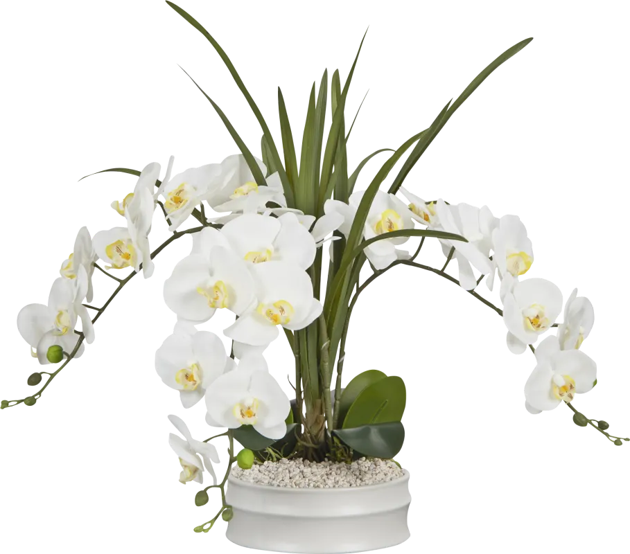 Salum White Silk Floral