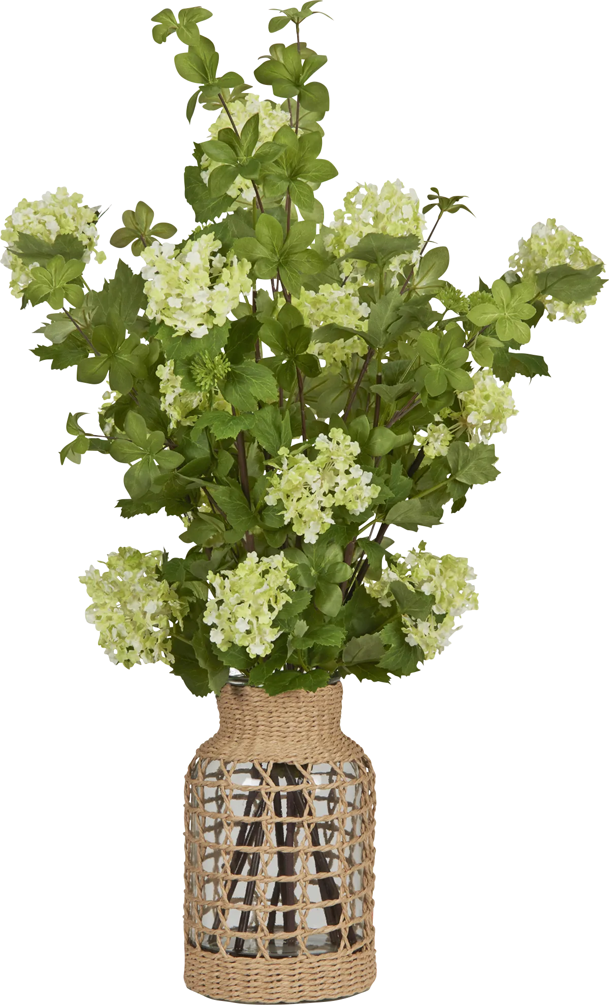 Chinasa Natural Silk Plant - Thumbnail - Image 1