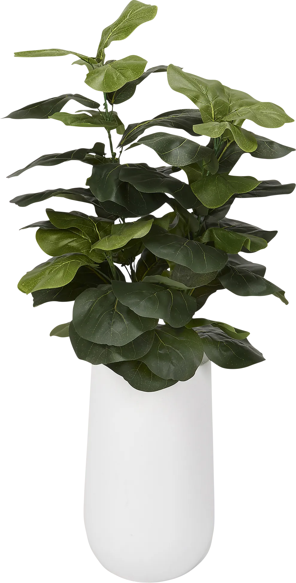 Tarini White Silk Plant - Image 1