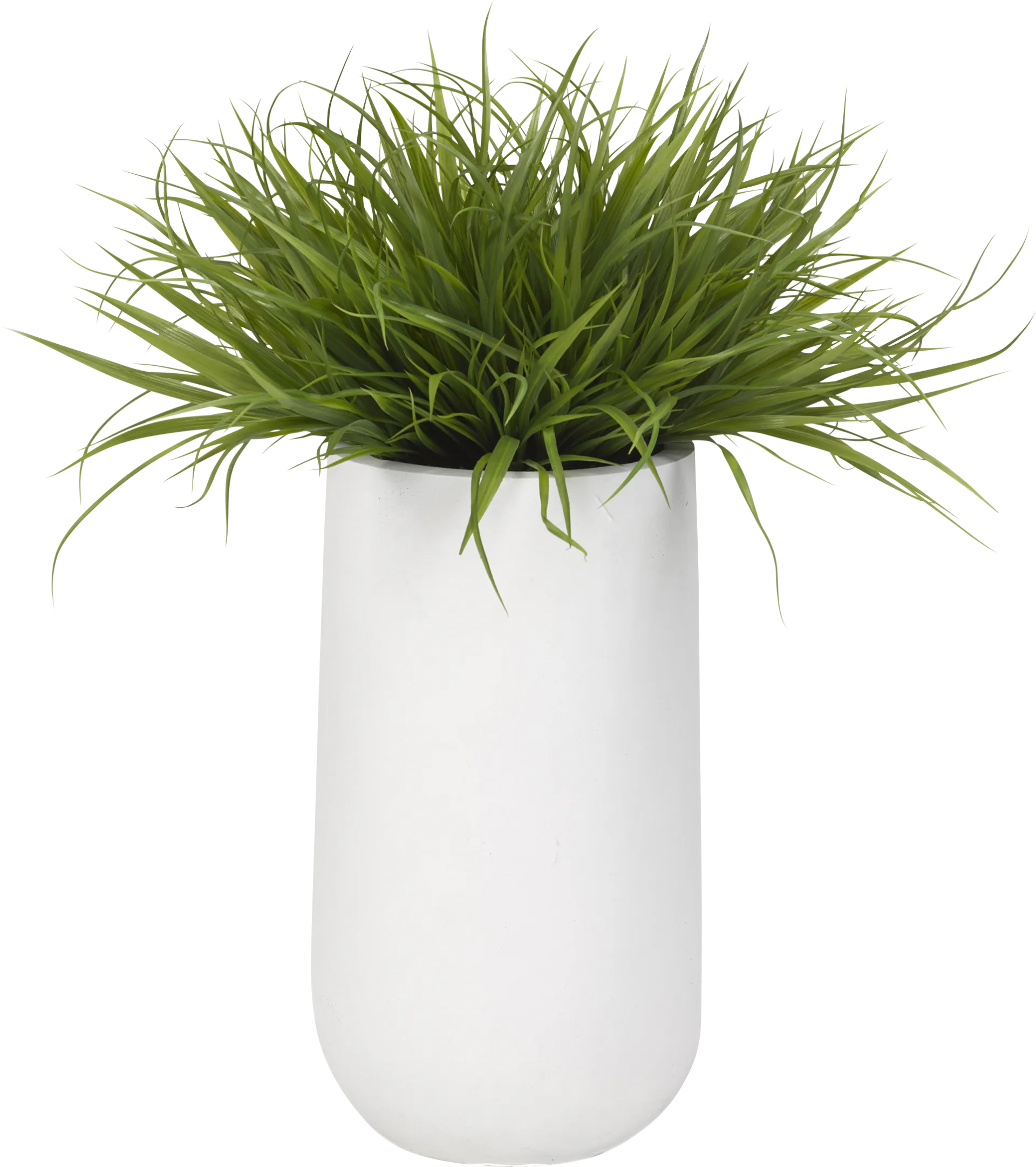 Rawu White Silk Plant - Image 1