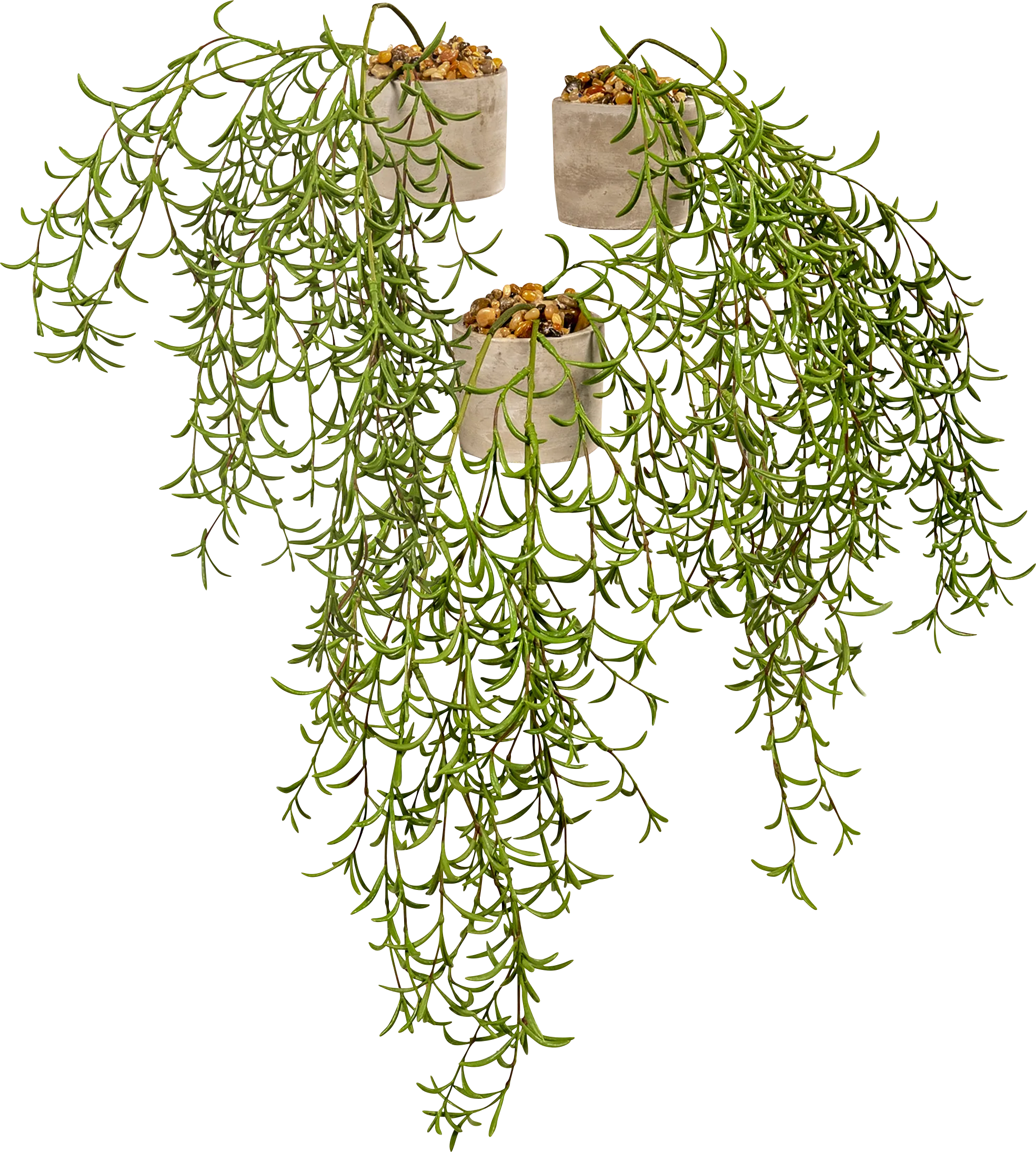 Geza Green Silk Plant - Thumbnail - Image 1