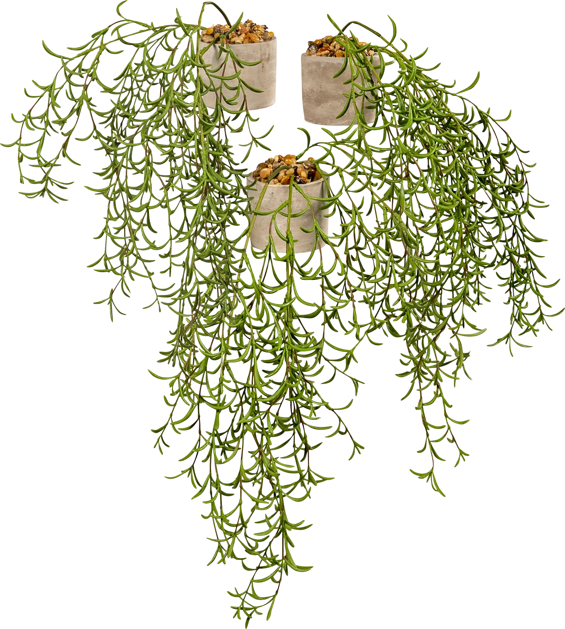 Geza Green Silk Plant - Image 1