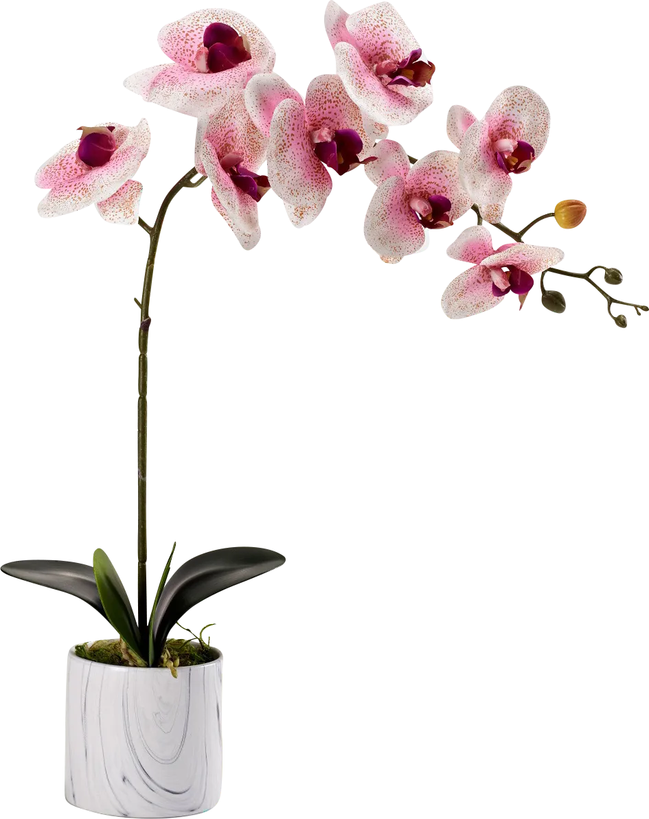 Meri Pink Silk Plant - Thumbnail - Image 1