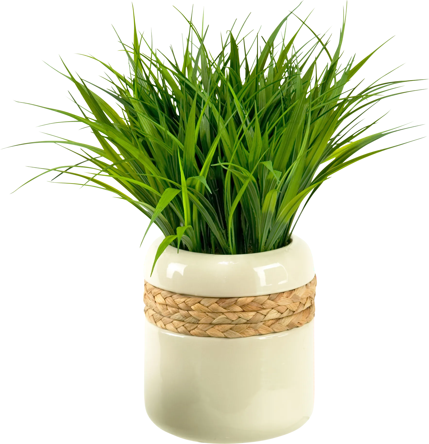Freyu Beige Silk Plant - Thumbnail - Image 1