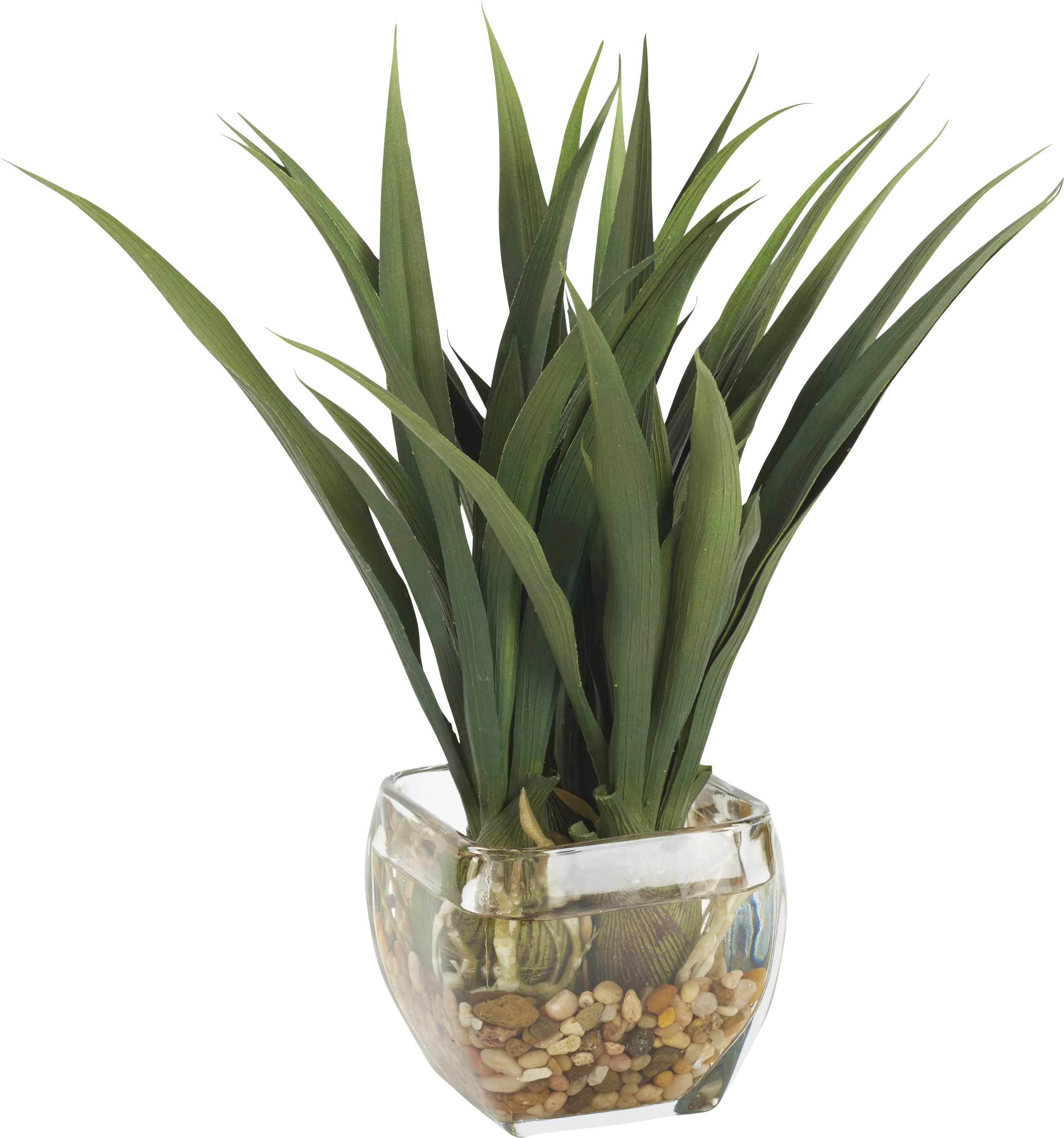 Irrana Green Silk Plant - Thumbnail - Image 1