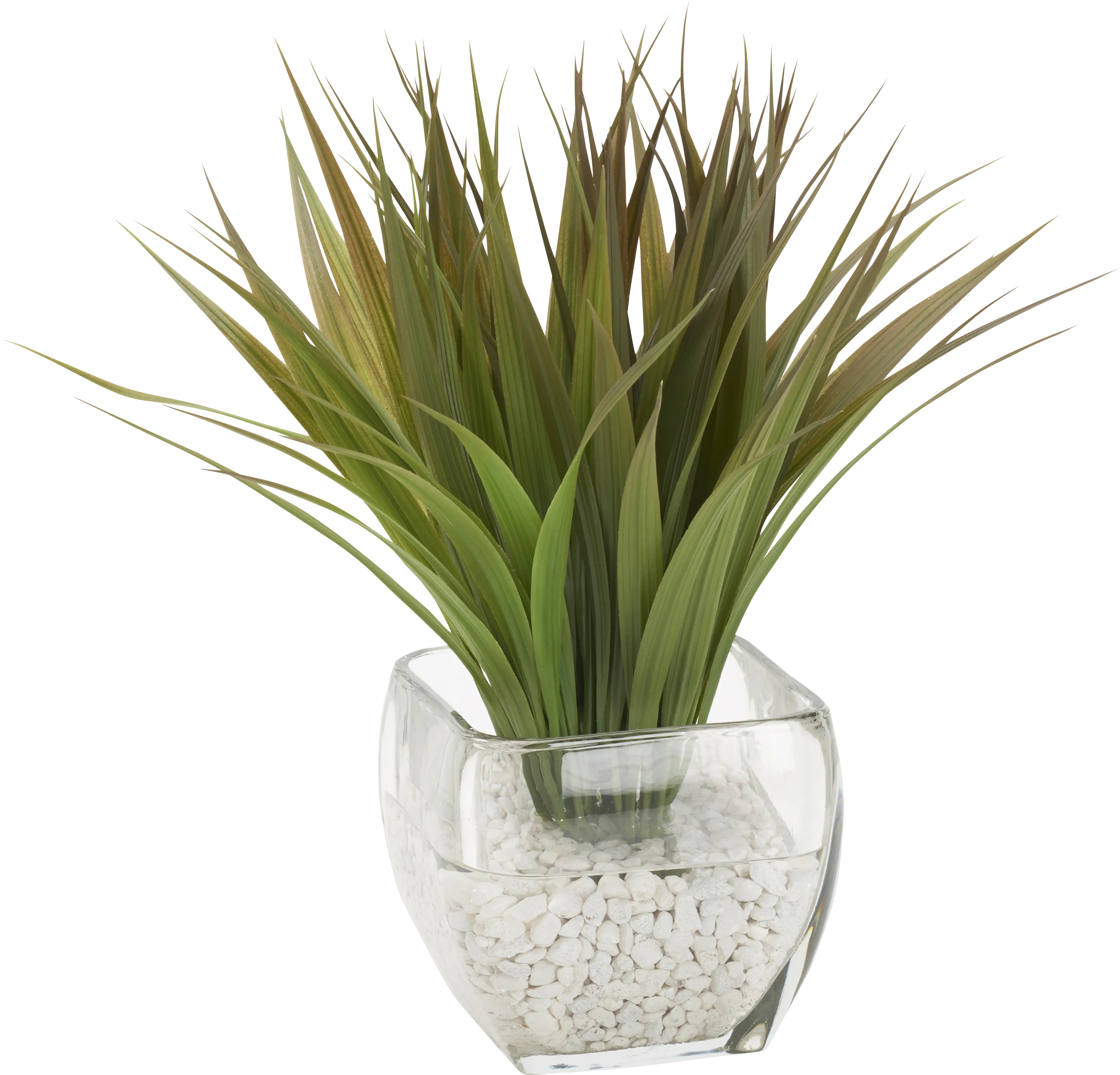 Mellera Green Silk Plant - Thumbnail - Image 1