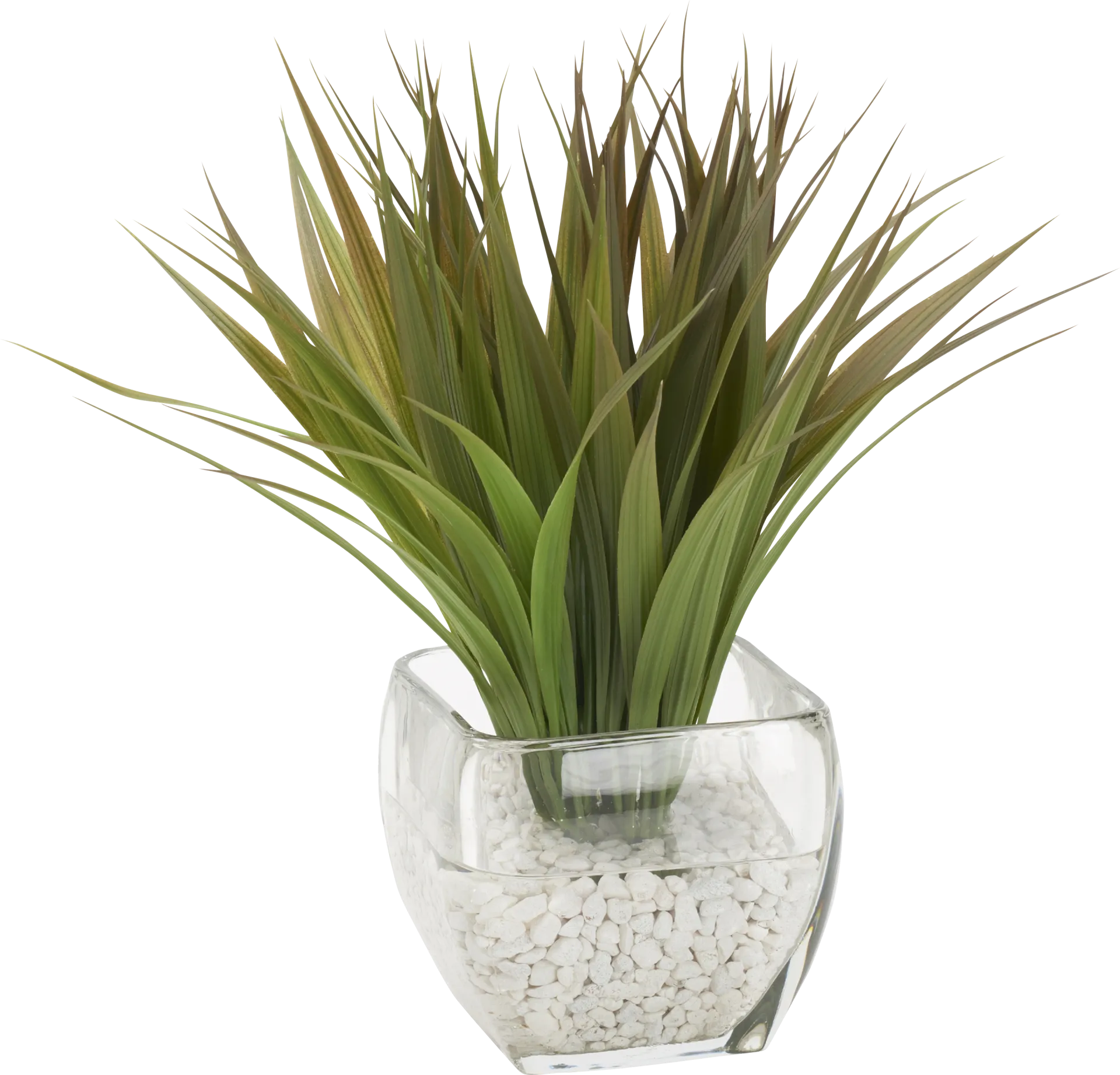 Mellera Green Silk Plant - Image 1