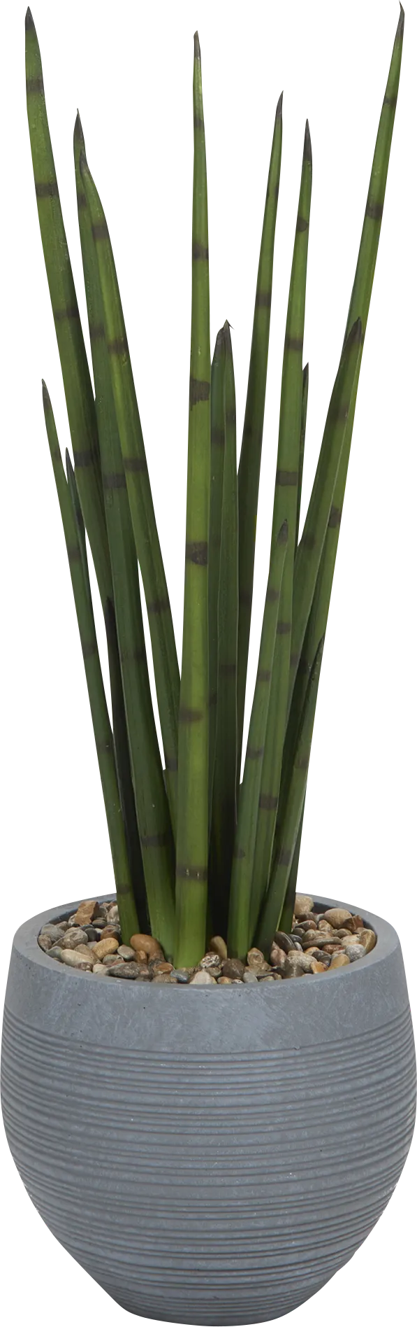 Hatmi Gray Silk Plant - Image 1