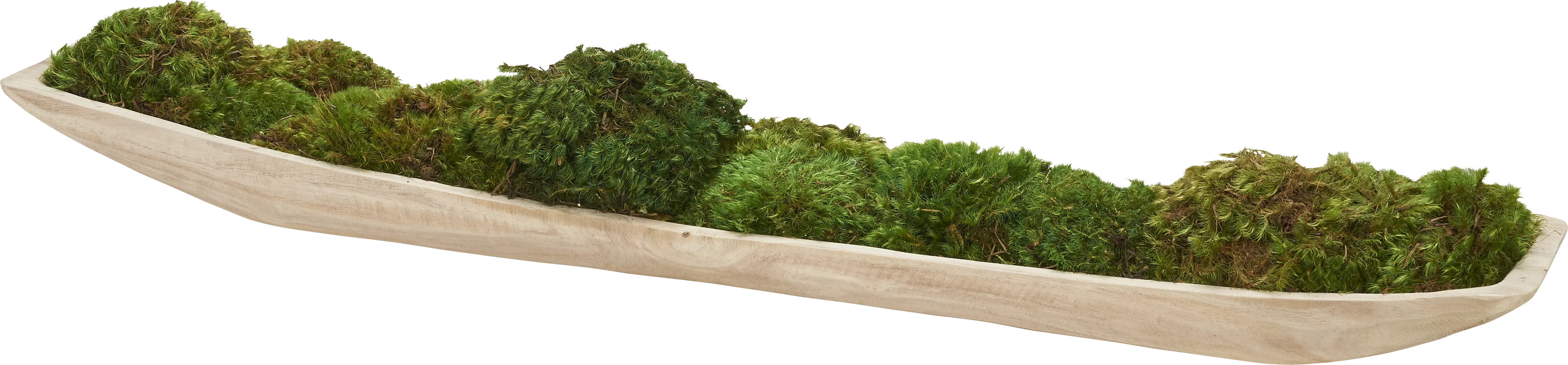 Usma Natural Silk Plant - Thumbnail - Image 1