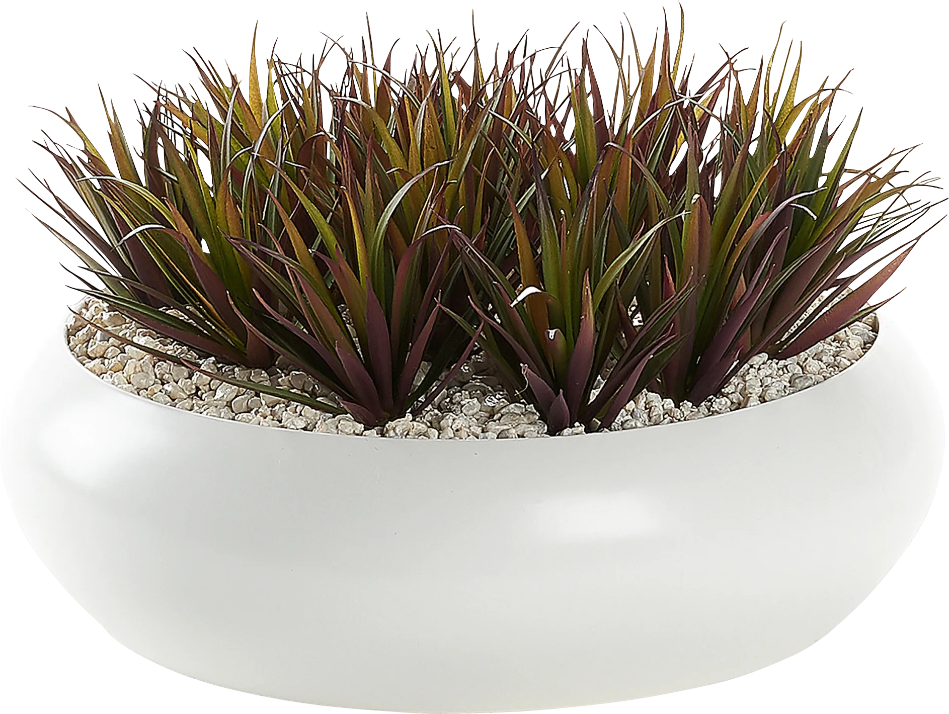 Sadun Red Silk Plant - Image 1
