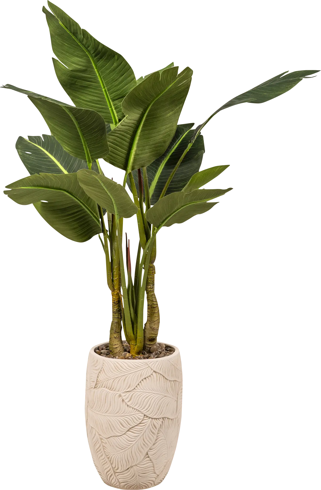 Isezi Beige Silk Plant