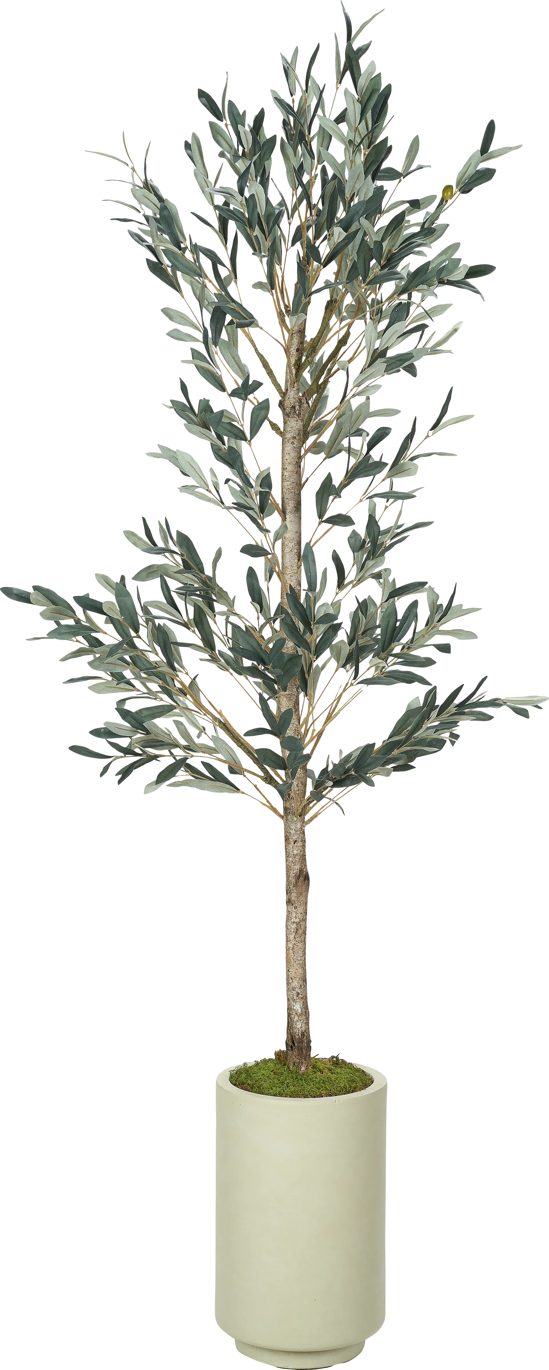 Hilna Green Silk Plant - Image 1