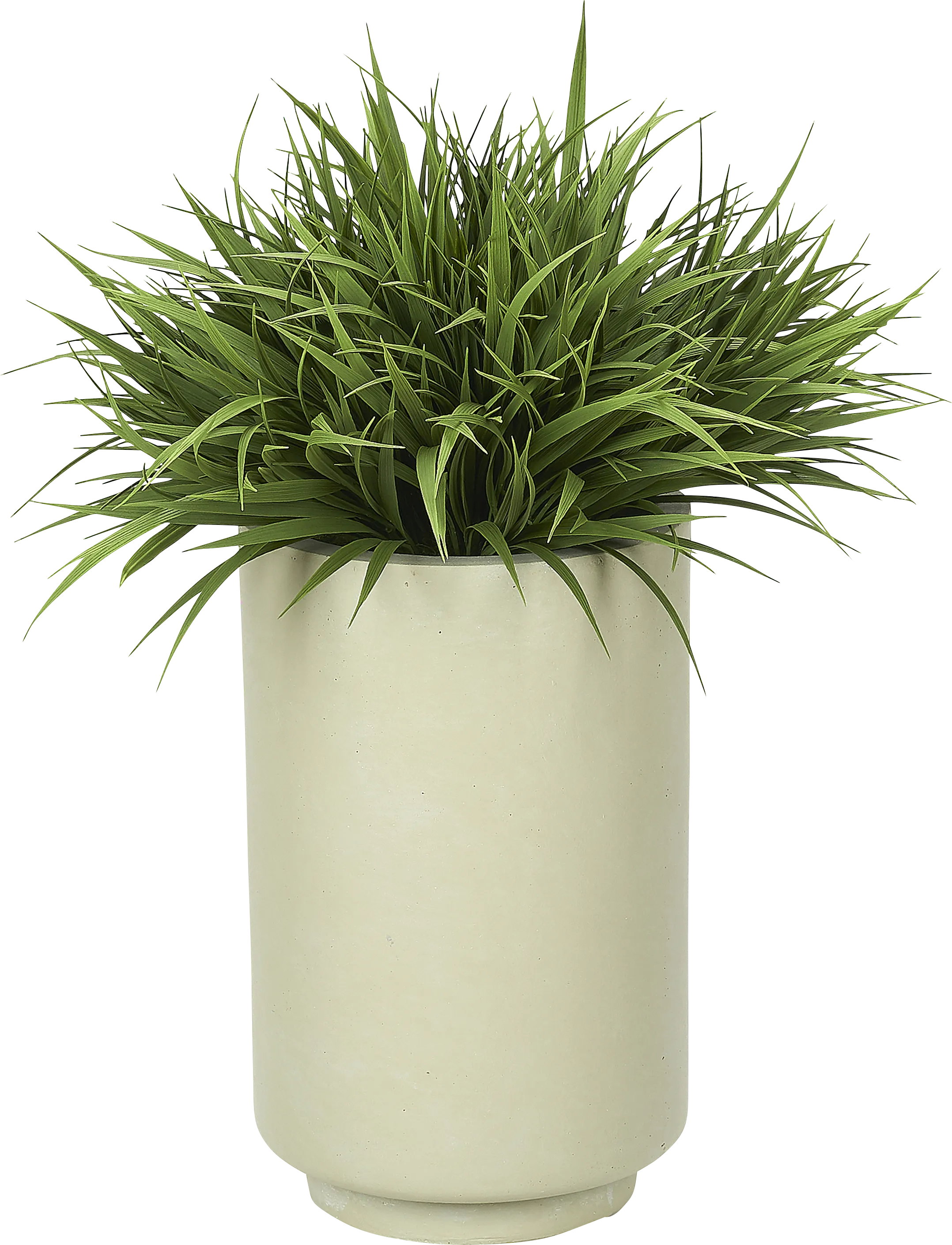 Silima Beige Silk Plant - Thumbnail - Image 1