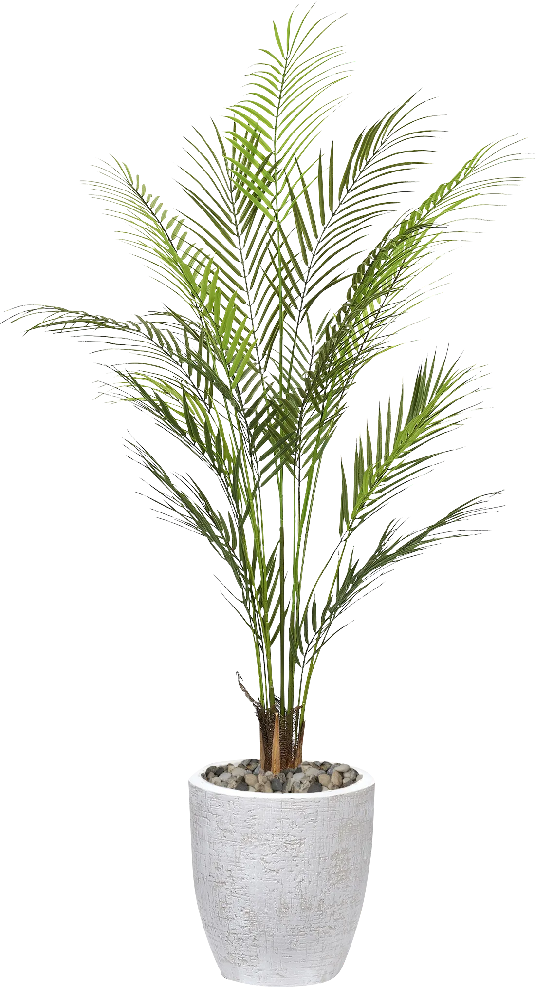 Ellin White Silk Plant - Image 1