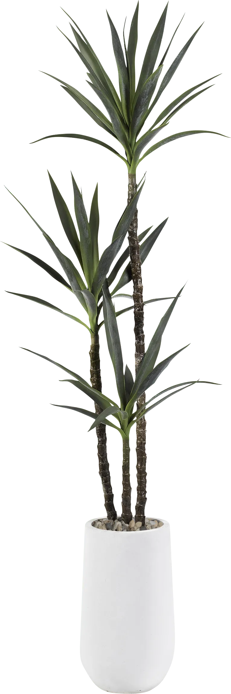 Mursi White Silk Plant - Thumbnail - Image 1