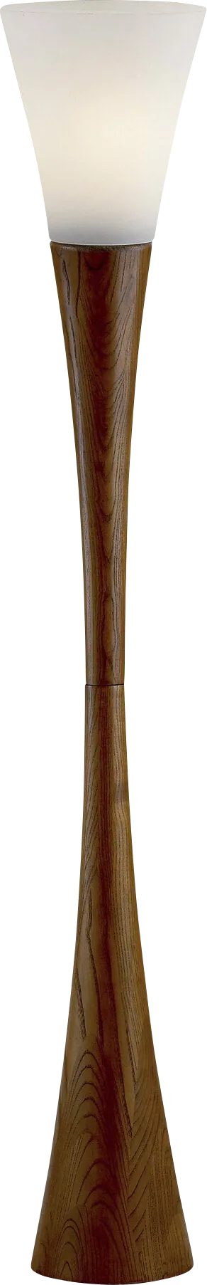Argo Brown Floor Lamp - Image 1