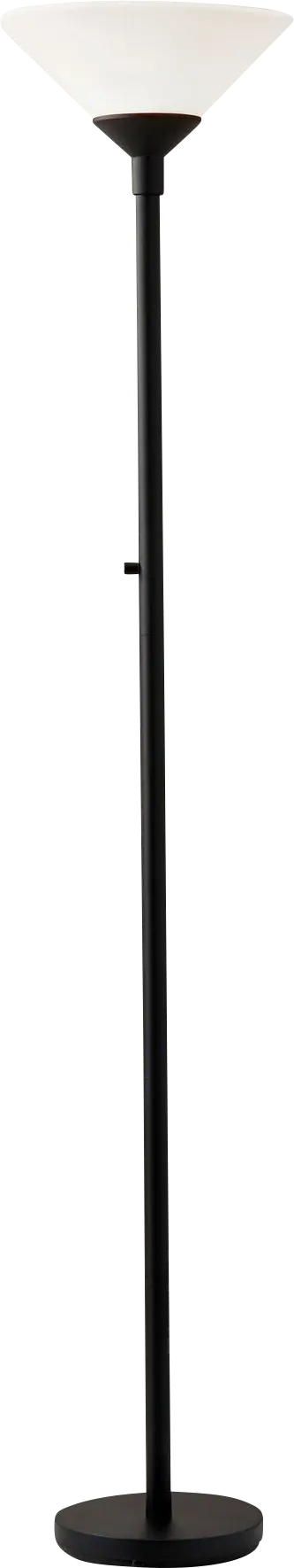 Charles Black Floor Lamp