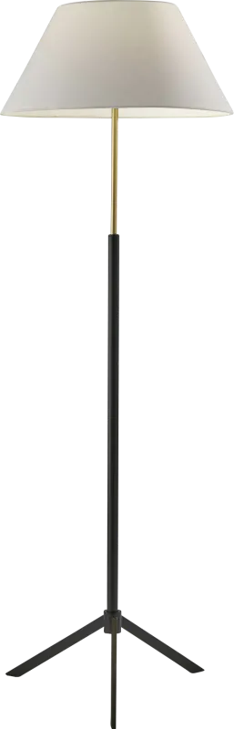Tekoa Black Floor Lamp