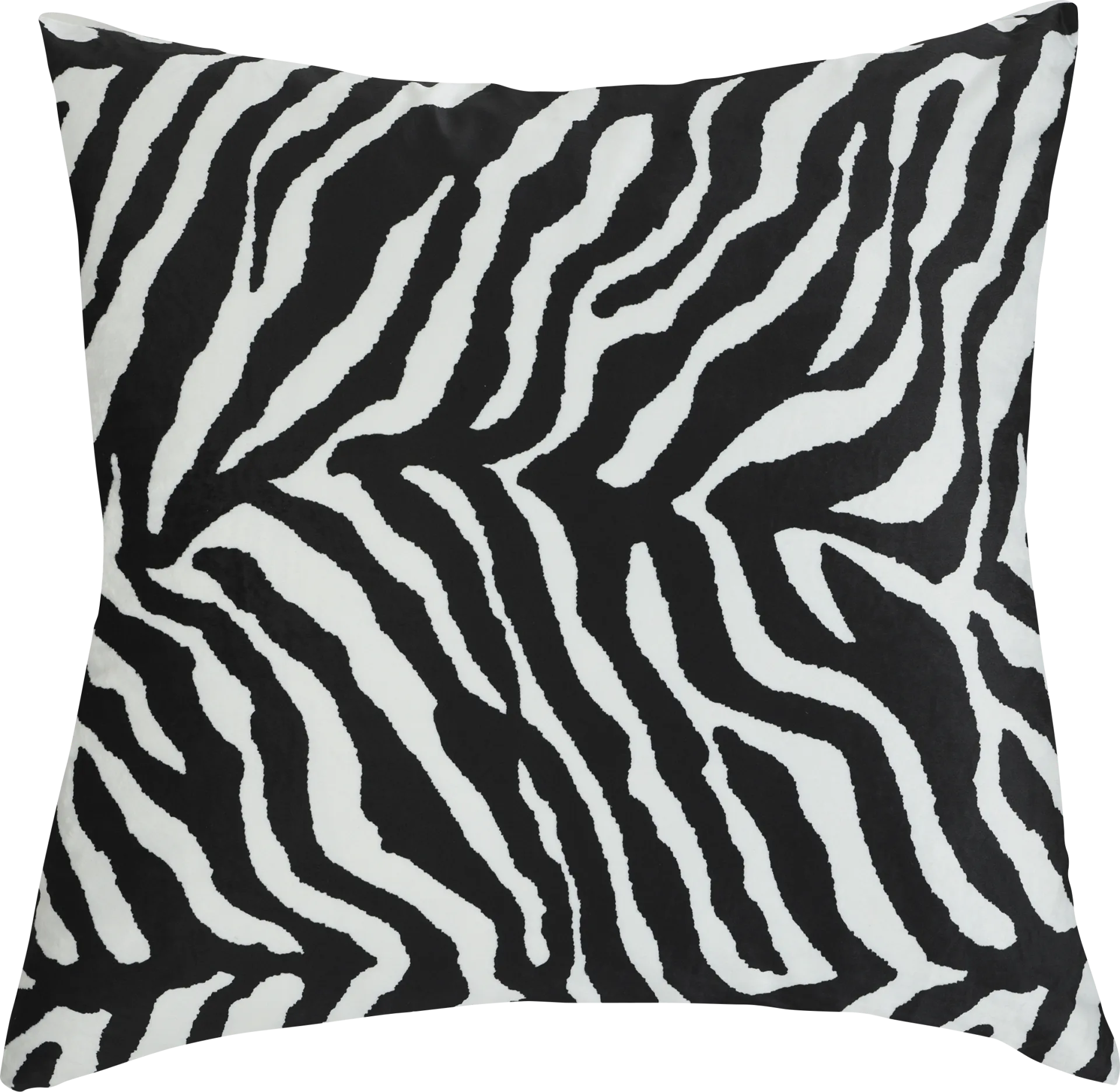 Zema Black Accent Pillow - Image 1