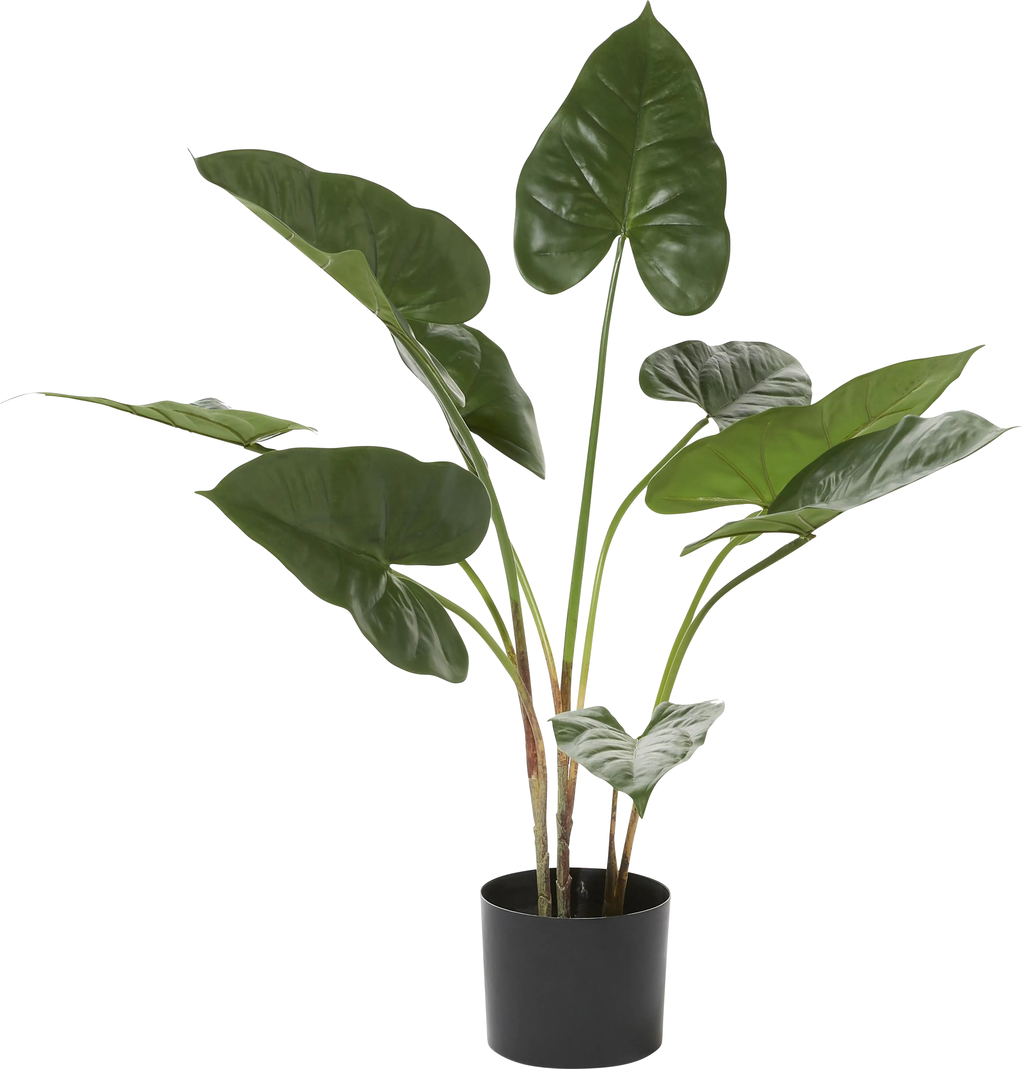 Sereya Green Silk Plant - Thumbnail - Image 1