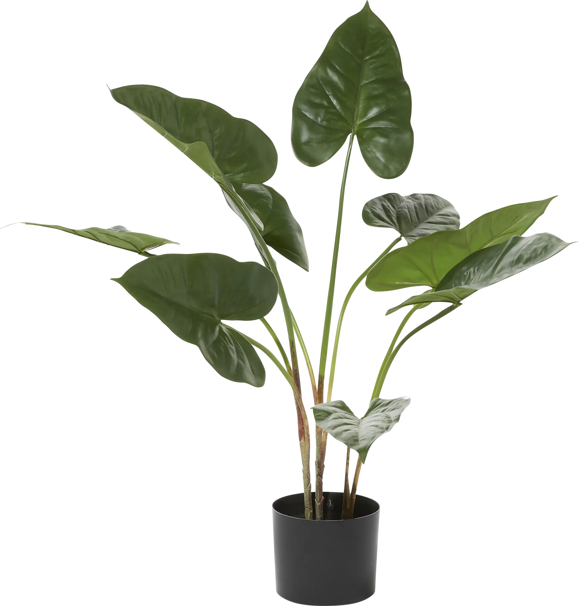 Sereya Green Silk Plant - Image 1