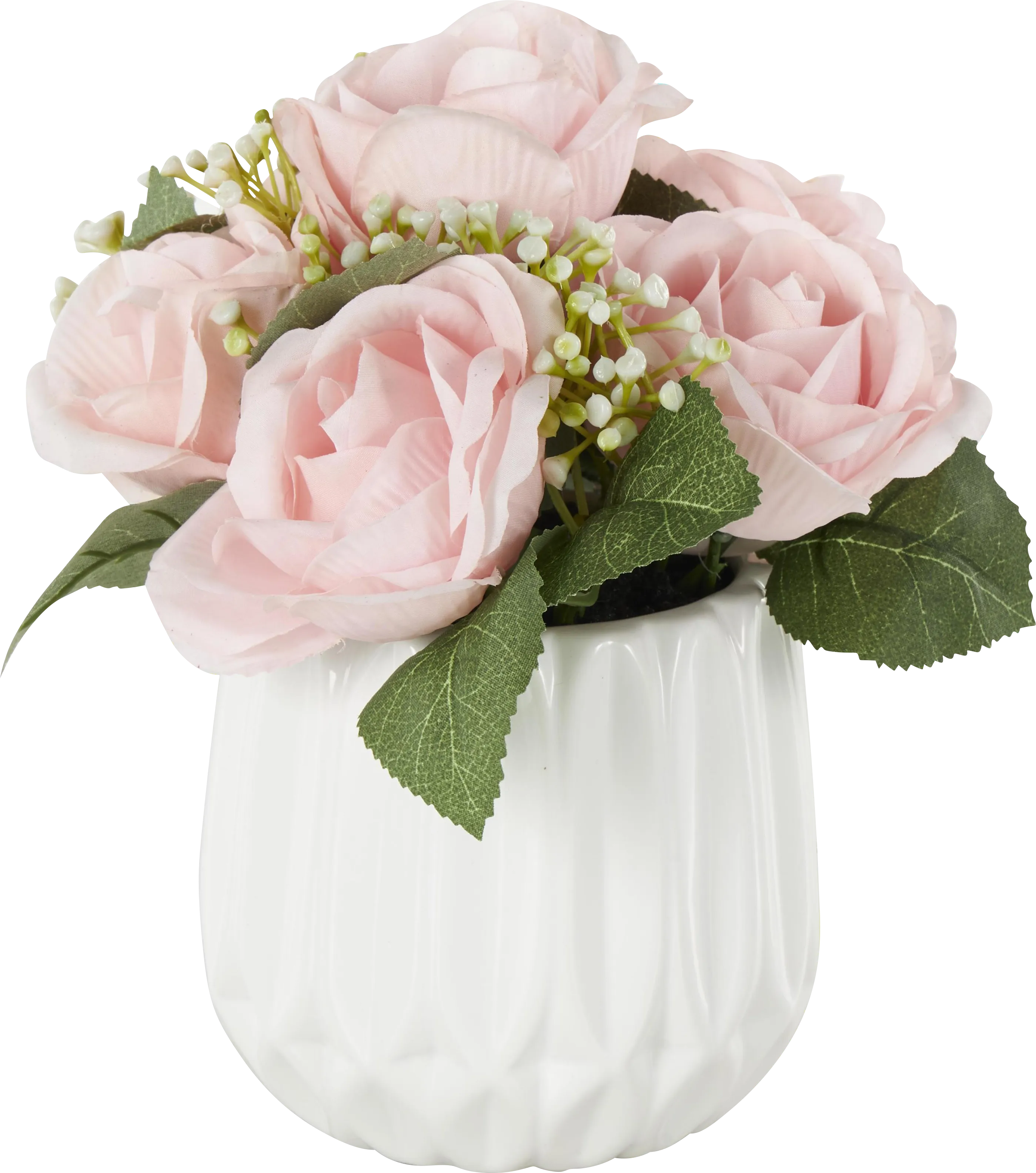 Essen White Silk Plant - Thumbnail - Image 1