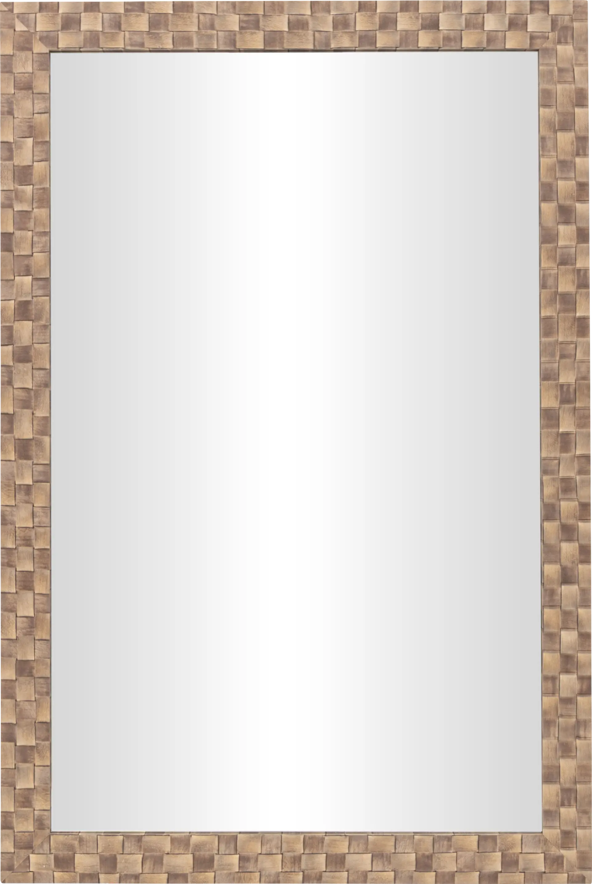 Hispid I Brown Mirror