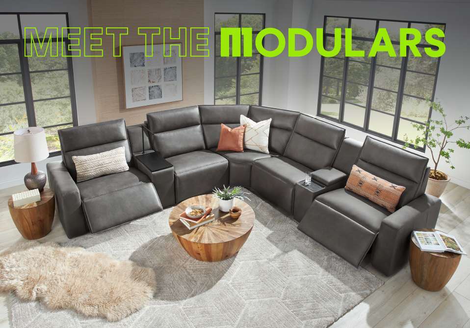 Meet The Modulars