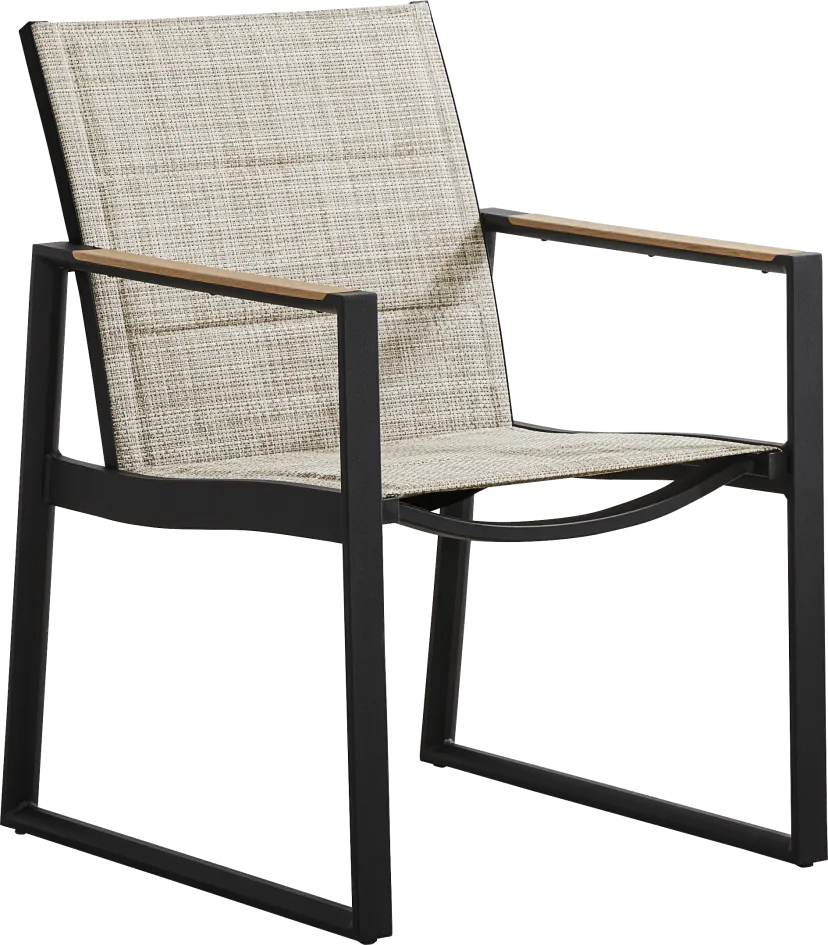 Shoreview Black Outdoor Arm Chair